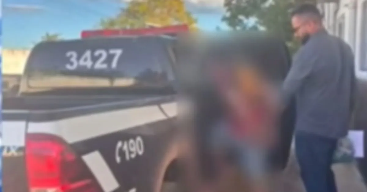 Adolescente de 16 anos foi apreendido em Marabá após confessar à Polícia Civil que realizava transmissões ao vivo com cenas de maus-tratos a gatos pela internet.
