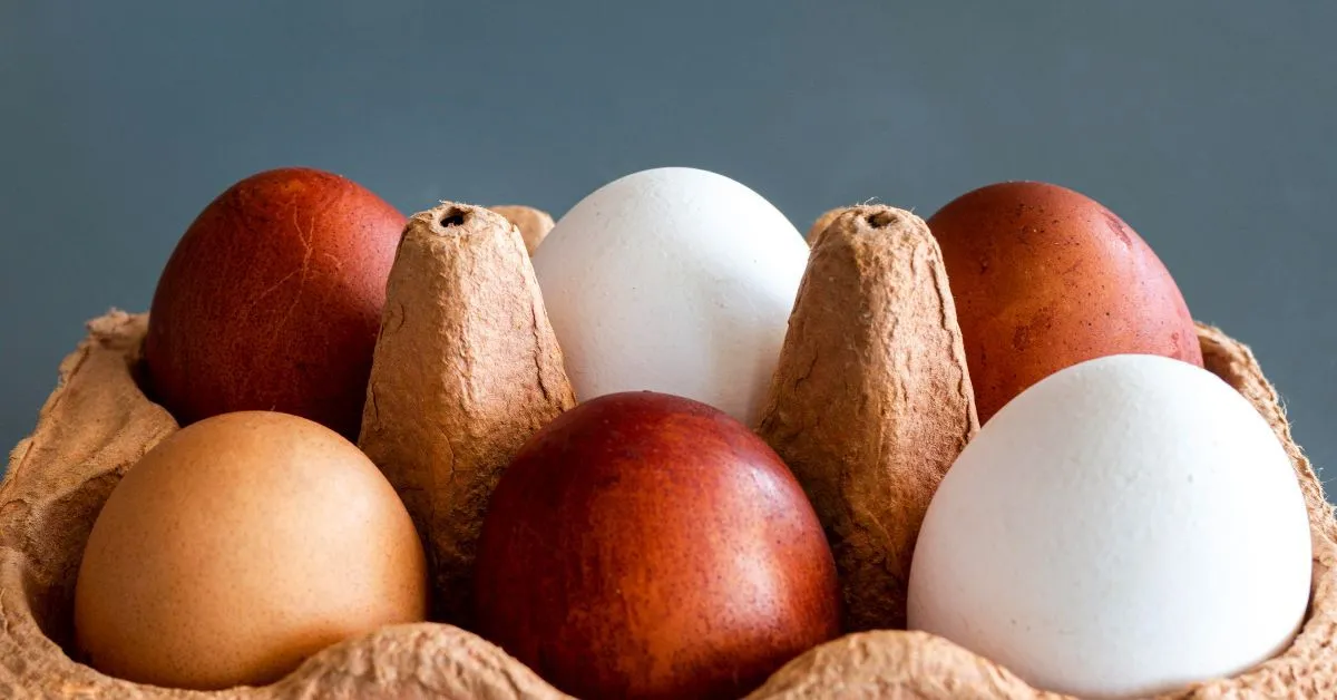 A cor da casca dos ovos é definida pela genética da galinha e não altera o valor nutricional do alimento.