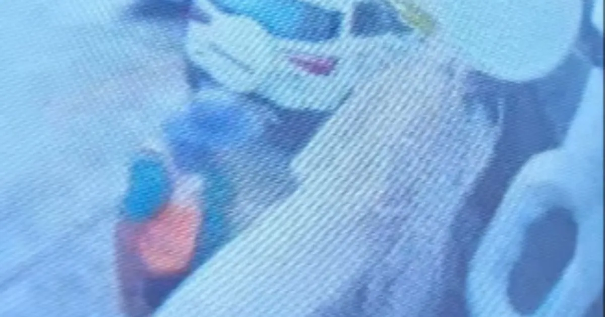 Câmeras instaladas no motorhome registraram o momento em que um homem tenta abrir o veículo na Praça do Arame.