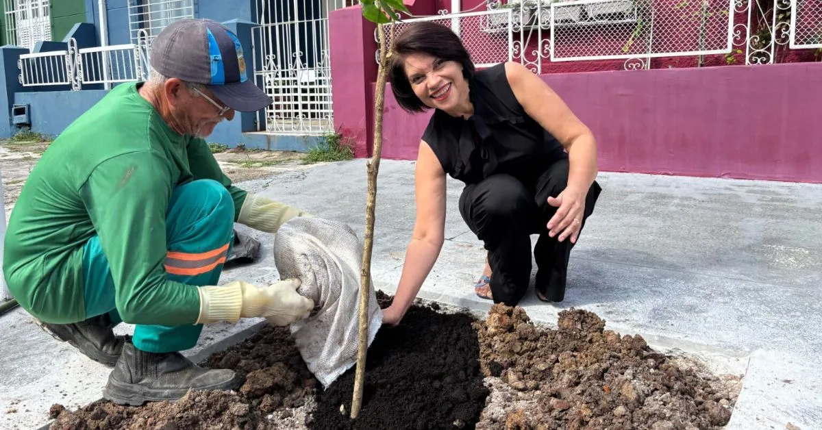 A história do primeiro plantio começou com a empresária Vânia Bordalo, proprietária de uma doceria na área. Após ver uma postagem nas redes sociais da Prefeitura, Vânia entrou em contato com o Whatsapp da Semma na sexta-feira (10) solicitando o plantio em frente ao seu estabelecimento.