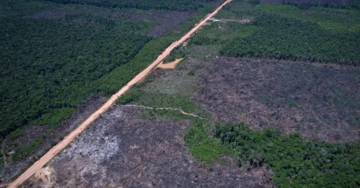 Segundo o Imazon, a Amazônia registrou 1.145 quilômetros quadrados de floresta derrubada entre janeiro e junho de 2026, resultado 10% menor que o do mesmo período do ano passado.