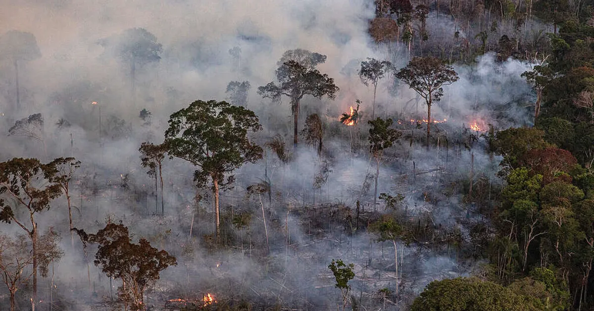 El Niño eleva risco de incêndios florestais no Pará, segundo o meteorologista José Raimundo de Abreu.
