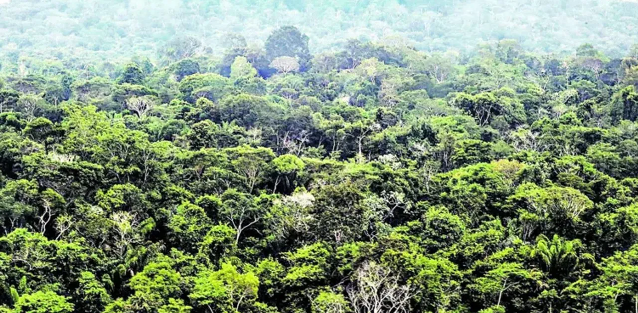 A UFPA e o Instituto Evandro Chagas transformam a biodiversidade amazônica em tecnologia.