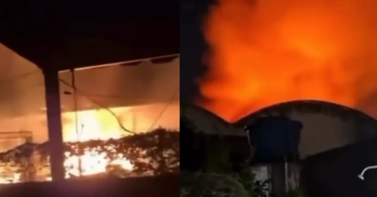 Registros compartilhados nas redes sociais mostram a intensidade das chamas do incêndio.