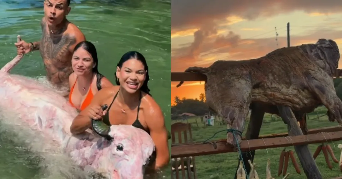 No vídeo, o grupo representa a captura do búfalo diretamente na água.