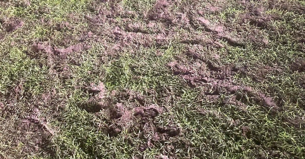 Gramado terminou neste estado após a partida contra o Botafogo-PB