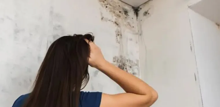 O vinagre tende a ser menos agressivo para a pintura e não deixa cheiro forte no ambiente