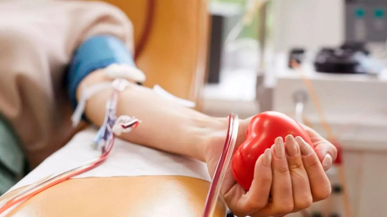 Procedimento de coleta em hemocentro; projeto quer triplicar frequência de doações incentivadas por lei.