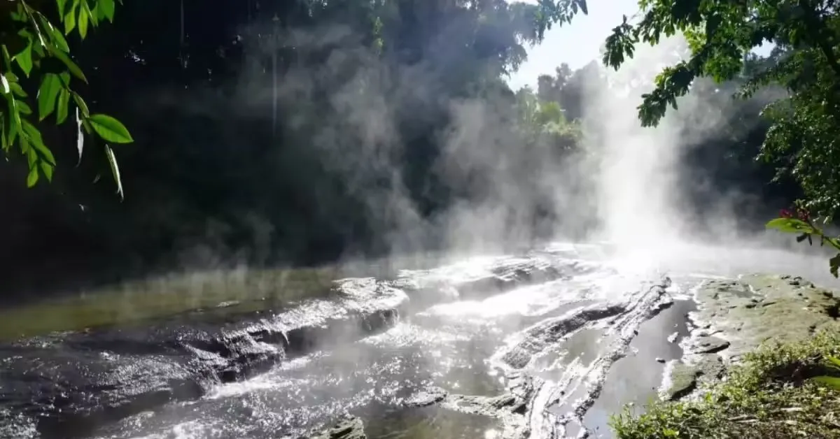 As altas temperaturas representam riscos severos para seres humanos e animais.