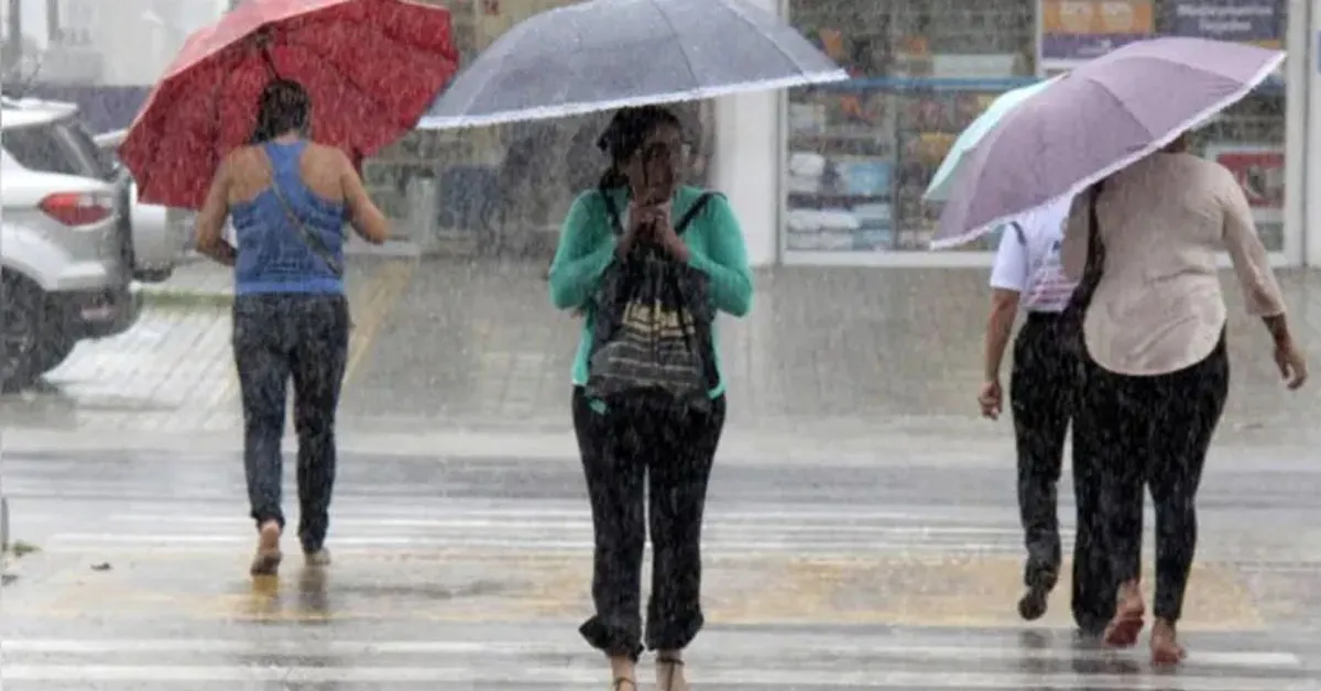 Especialistas também alertam para a possível chegada do fenômeno climático El Niño, que pode ganhar força nos próximos meses e atingir maior intensidade entre 2026 e 2027.