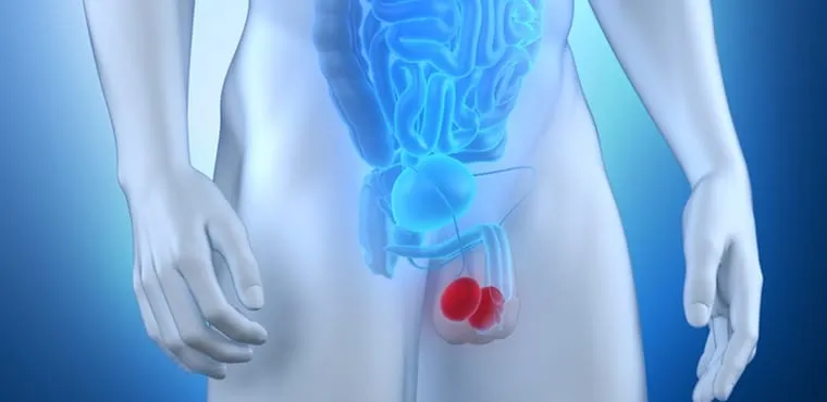 Conscientize-se sobre o câncer de testículo