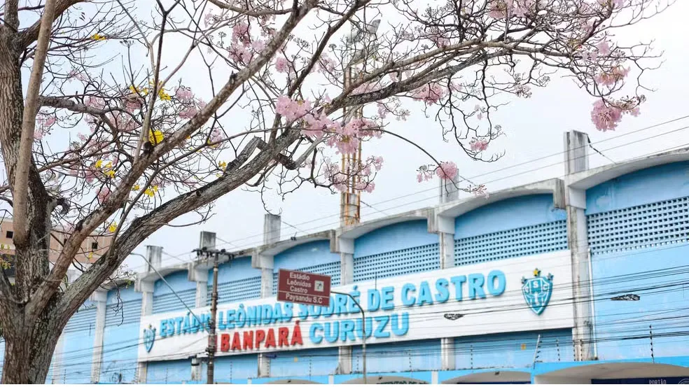 O Paysandu avança na recuperação judicial e antecipa 13º salário.