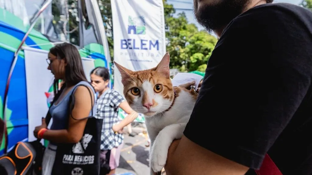 Conheça o programa de atendimento veterinário gratuito em Icoaraci e como acessar serviços essenciais para seus pets a partir do dia 22.