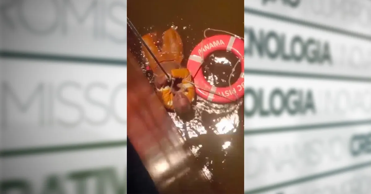 O trabalhador caiu no rio enquanto limpava o porto.