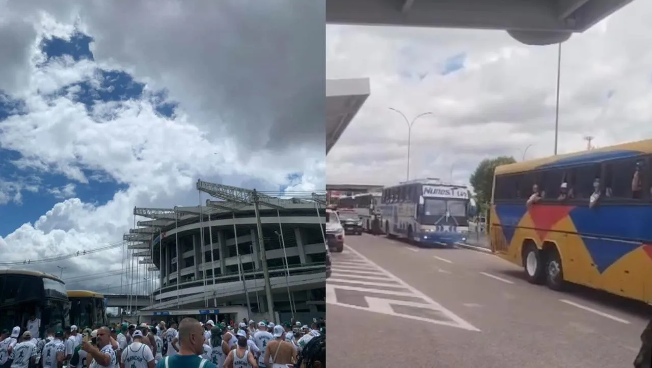 Imagem ilustrativa da notícia: Remo x Palmeiras: palmeirenses chegam ao Mangueirão em grande número