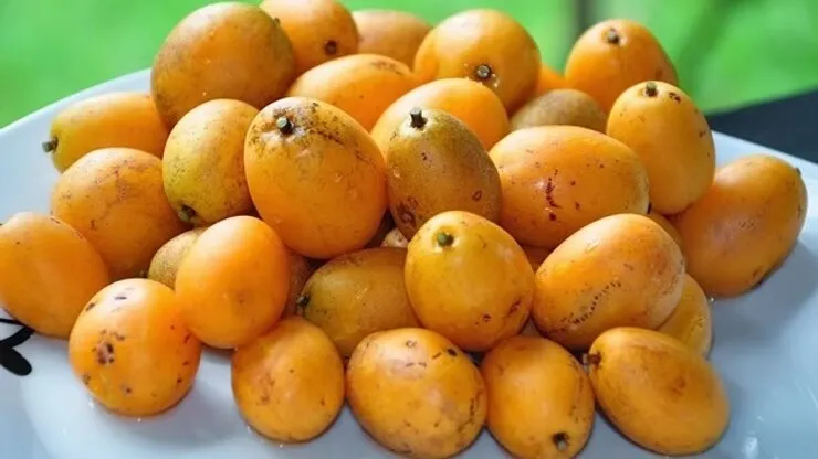 Taperebá