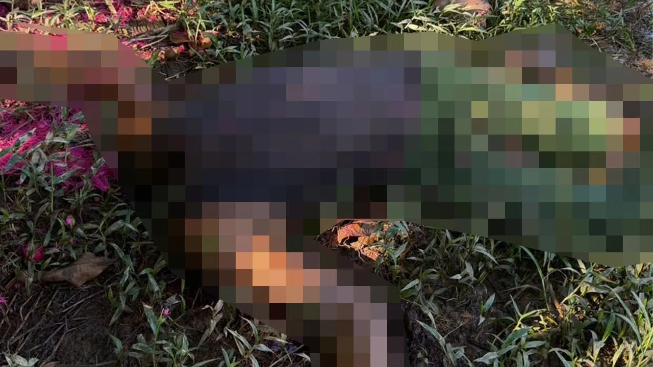 Cabeça foi encontrada ao lado do corpo da vítima