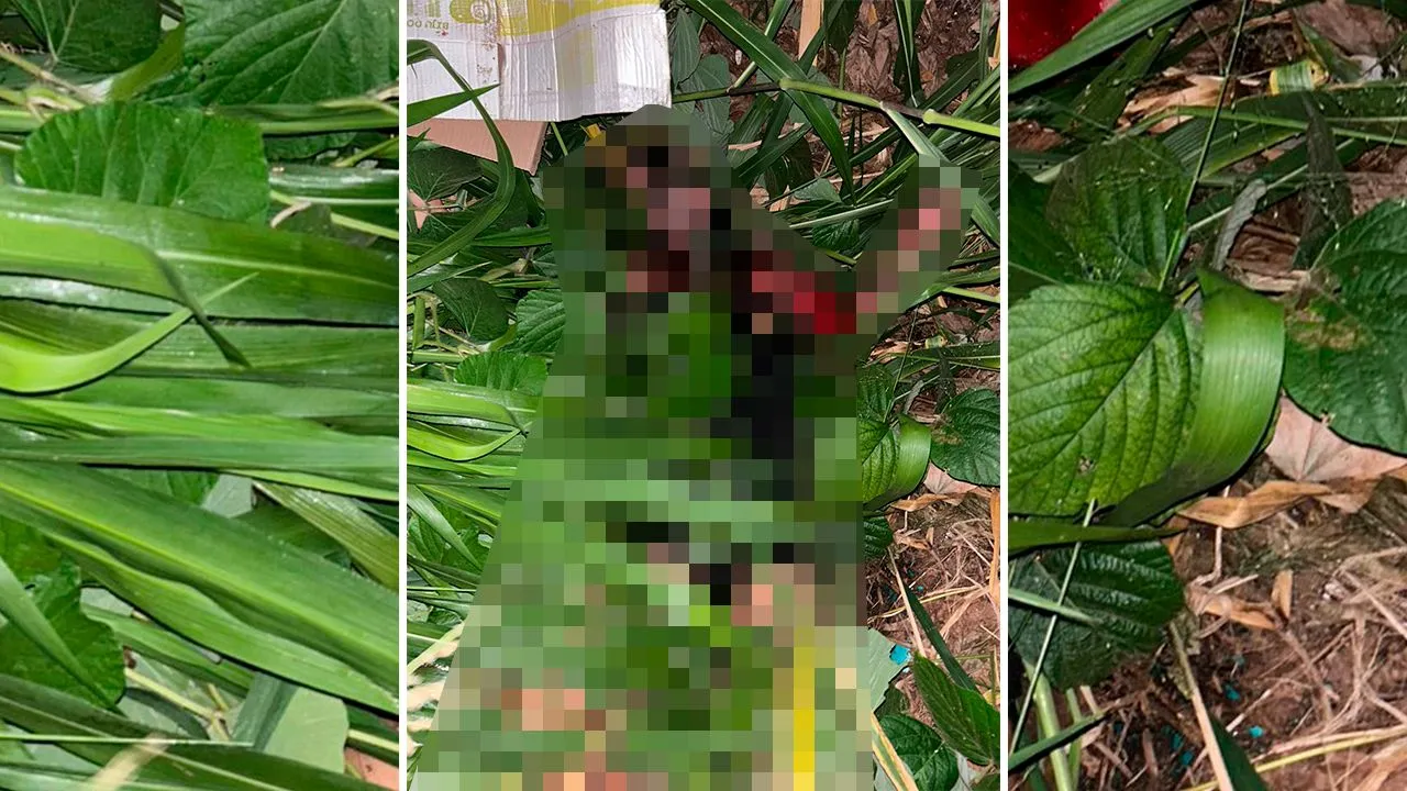 A mulher trans foi encontrada sem vida numa área de mata em Moju