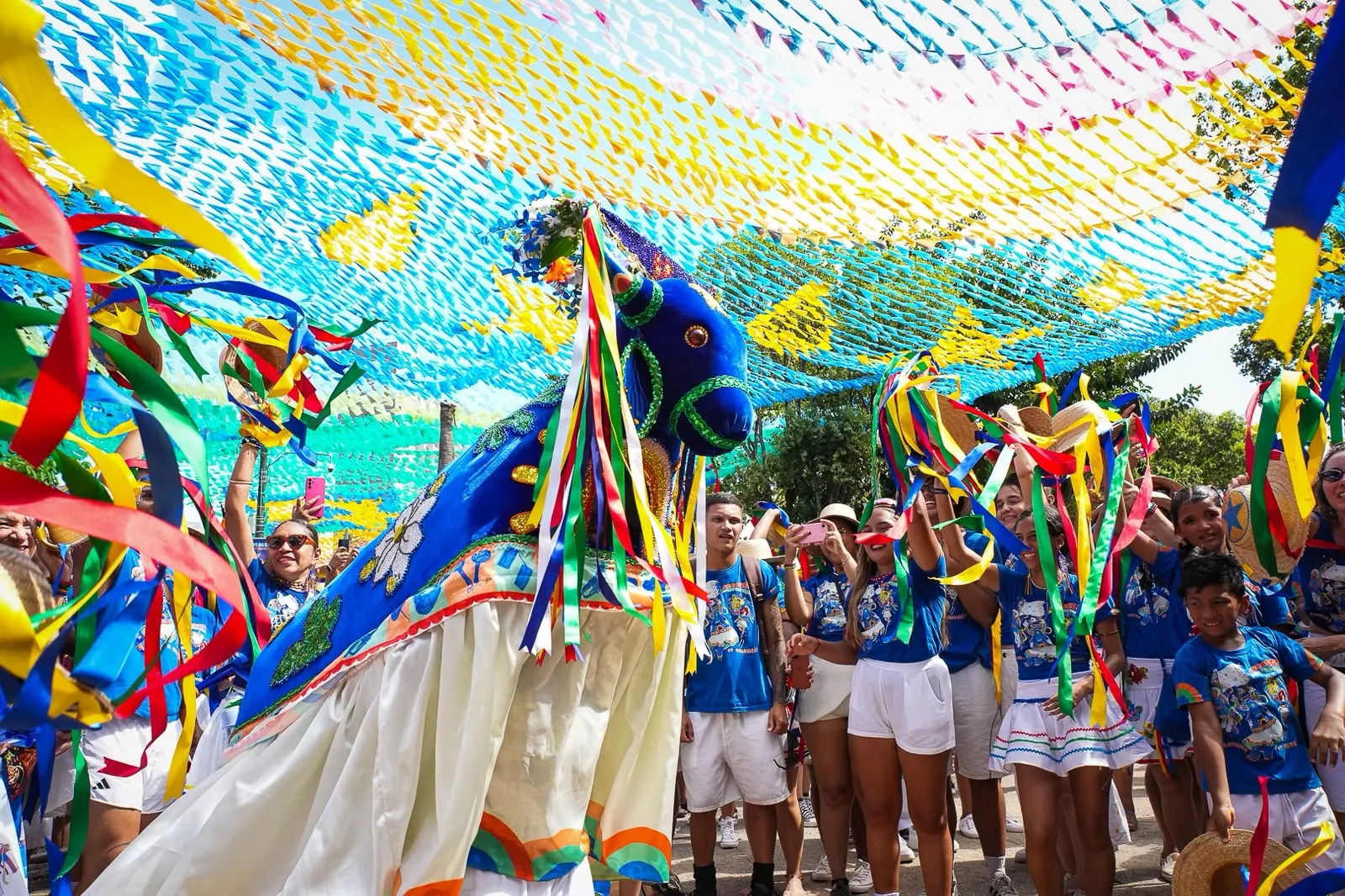 A próxima edição do Arrastão do Pavulagem será em Outubro, no período do círio.