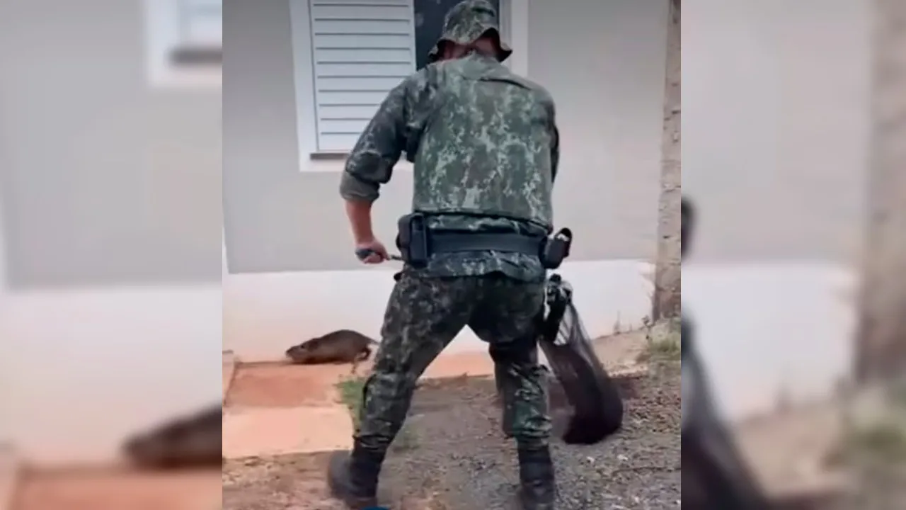 No local, os policiais realizaram a captura utilizando técnicas adequadas de contenção, garantindo a segurança do roedor e dos moradores.