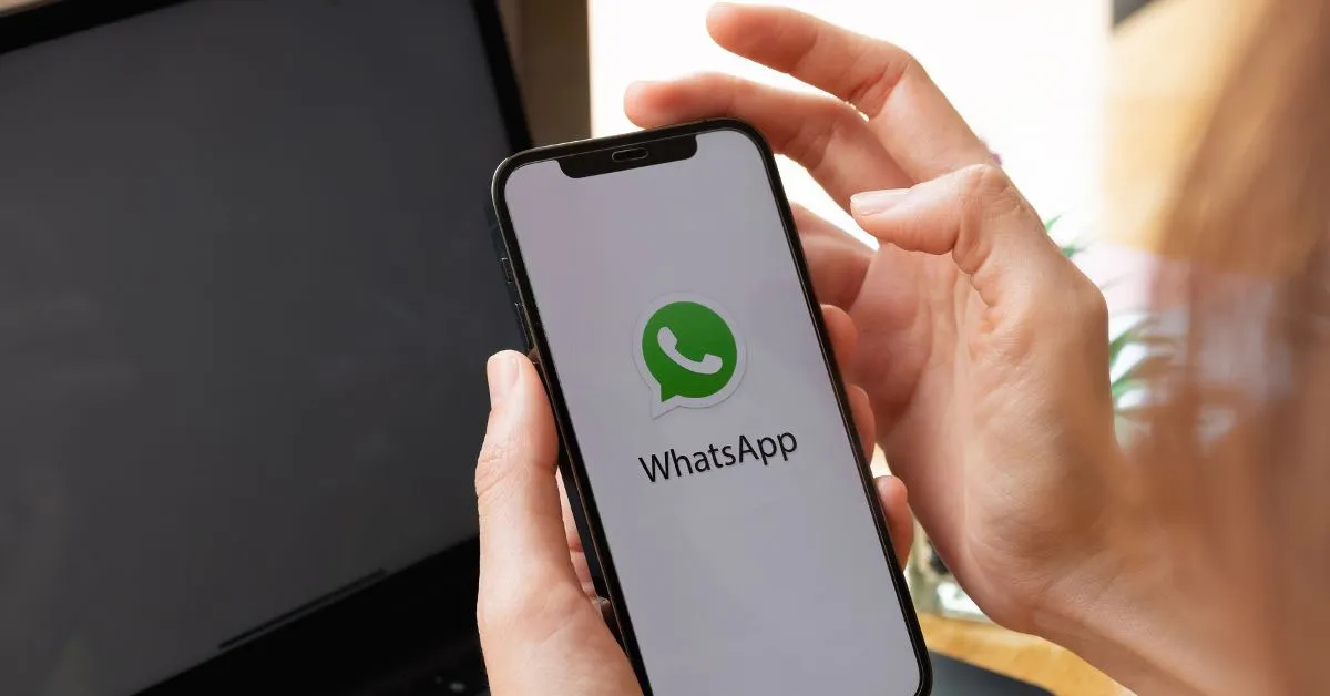 Atualmente, a tela de informações dos grupos reúne diversas funções em um só lugar, incluindo lista de participantes, arquivos de mídia compartilhados, opções de notificações, mensagens temporárias e bloqueio de conversas.