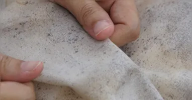 Umidade e falta de ventilação favorecem o aparecimento de bolor em roupas guardadas por longos períodos.