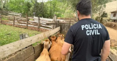 Nova delegacia Deleagro combate crimes rurais no Pará