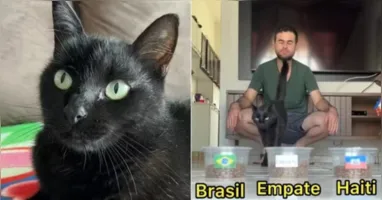 Milu observou o pote do empate, mas acabou escolhendo a opção que indicava vitória da Seleção Brasileira antes da partida contra o Marrocos.