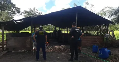 O local operava sem qualquer tipo de licença ou controle oficial