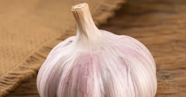 Alho pode amenizar odores, mas não faz limpeza