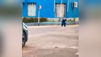 Momento em que abelhas atacam homem que estava em veículo. Ele tenta se proteger o máximo que pode.