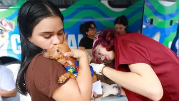 Durante a comemoração dos 131 anos de Mosqueiro, a Prefeitura de Belém oferece atendimento veterinário gratuito para cães e gatos de 5 a 10 de julho.