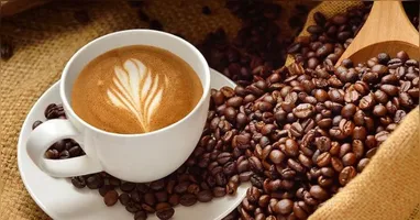 Todos os tipos de café possuem antioxidantes, minerais e compostos associados à proteção do coração e do cérebro.