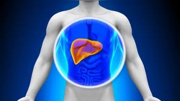 Gastroenterologista Maria Júlia Colossi aponta ultraprocessados e sedentarismo como os maiores vilões para o aumento da esteatose hepática de 18 a 29 anos.