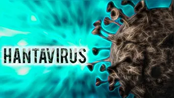 O Hantavírus, agente causador de doenças graves que comprometem os sistemas respiratório e renal