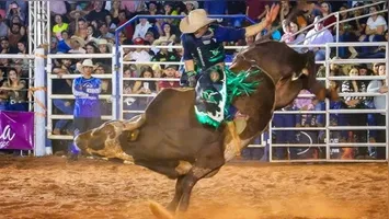 Rodeio profissional é um dos atrativos da festa