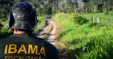 O Ibama está entre as muitas oportunidades na área ambiental
