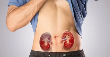 A obesidade aparece como uma nova vilã para doença renal
