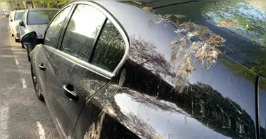 Vários agentes externos podem afetar a pintura do automóvel, por isso a importância de utilizar o produto correto.