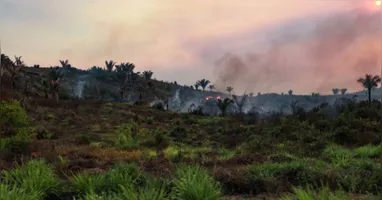 Inmet destaca que o Sul do Pará já registra historicamente altas temperaturas durante o verão amazônico.