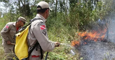Brigadistas florestais atuarão em regiões prioritárias do Pará.