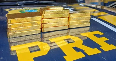 Ouro estava escondido em um fundo falso localizado durante fiscalização na BR-230