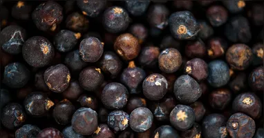 Projeto reconhece a importância dos trabalhadores responsáveis pela colheita, despolpa e preparo do açaí, atividade essencial para milhares de famílias amazônicas.