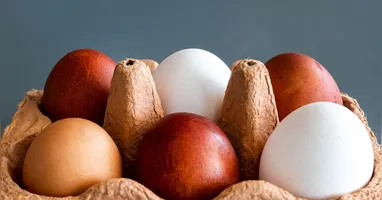 A cor da casca dos ovos é definida pela genética da galinha e não altera o valor nutricional do alimento.