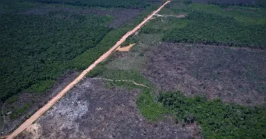 Segundo o Imazon, a Amazônia registrou 1.145 quilômetros quadrados de floresta derrubada entre janeiro e junho de 2026, resultado 10% menor que o do mesmo período do ano passado.