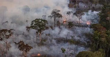 El Niño eleva risco de incêndios florestais no Pará, segundo o meteorologista José Raimundo de Abreu.