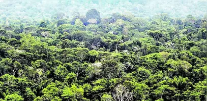 A UFPA e o Instituto Evandro Chagas transformam a biodiversidade amazônica em tecnologia.