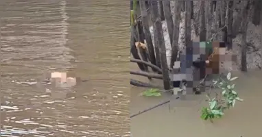 Imagens compartilhadas nas redes sociais mostram alguns dos cães envenenados boiando no rio da região.
