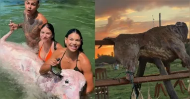 No vídeo, o grupo representa a captura do búfalo diretamente na água.