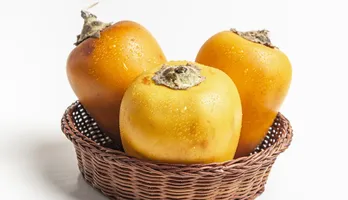 Imagem ilustrativa da notícia Culinária Regional: o Pará que muita gente nunca provou